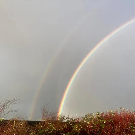 The Pleasant Hut At Mount Pleasant Farm Vakantiehuis Ulverston